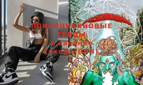 прущая мука Вяземский