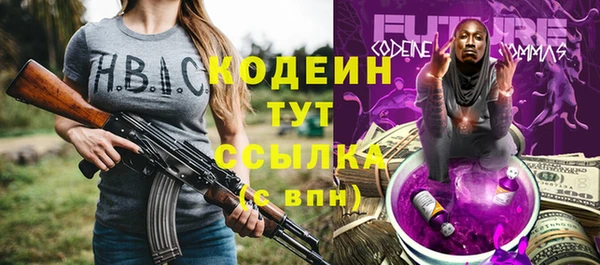 прущая мука Вяземский