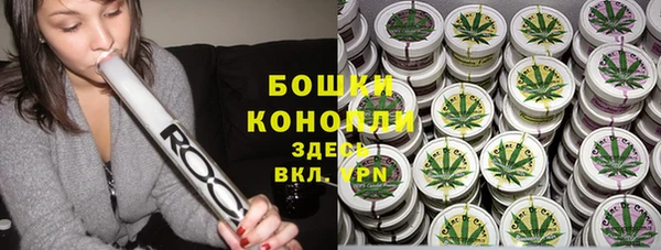 прущая мука Вяземский