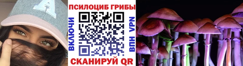Псилоцибиновые грибы мухоморы  Купить закладки  Кинешма 