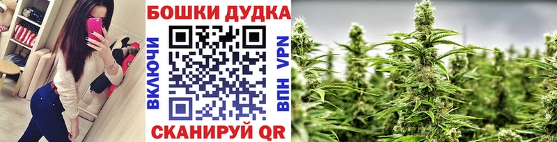 Каннабис гибрид  Купить закладки  Кинешма 